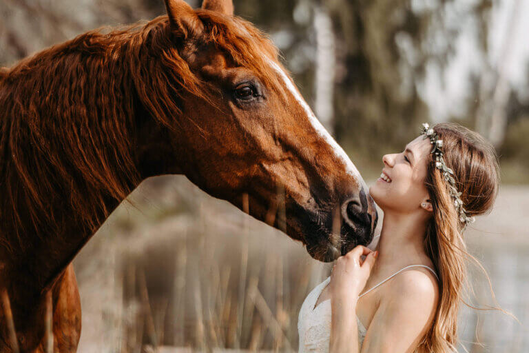 portraitshooting-mit-pferd-natur